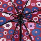 Зонт автоматический «Ромашки», 3 сложения, 8 спиц, R = 55 см, цвет бордовый - Фото 3