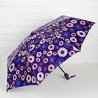 Зонт автоматический «Ромашки», 3 сложения, 8 спиц, R = 55 см, цвет фиолетовый - Фото 1