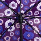 Зонт автоматический «Ромашки», 3 сложения, 8 спиц, R = 55 см, цвет фиолетовый - Фото 3