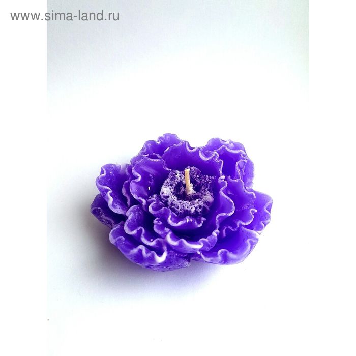 Свеча "Ручная работа" Райский цветок фиолетовый с белым 9*4 - Фото 1