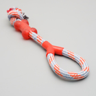 Игрушка тренировочная канатная с косточкой, до 120 г, до 40 см, микс цветов - Фото 2