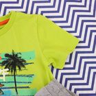Комплект для мальчика (футболка, шорты), рост 122 см, цвет салатовый CSK 9633 - Фото 4