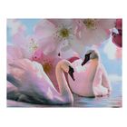 Картина на холсте "Лебеди под цветами" 30х40 см - Фото 1