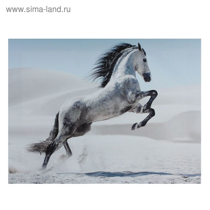 Картина на холсте "Серая лошадь в прыжке" 30*40 см - Фото 1