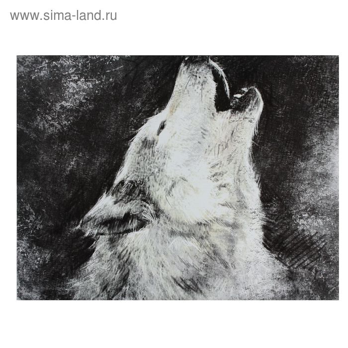 Картина на холсте "Воющий волк" 30*40 см - Фото 1