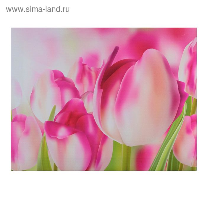 Картина на холсте "Розовые тюльпаны" 30*40 см - Фото 1