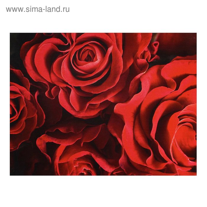 Картина на холсте "Красные розы" 30*40 см - Фото 1