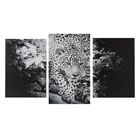 Картина модульная на подрамнике "Черно-белый леопард" 2-30х44,5 1-30х51,5; 55х100 см - Фото 1