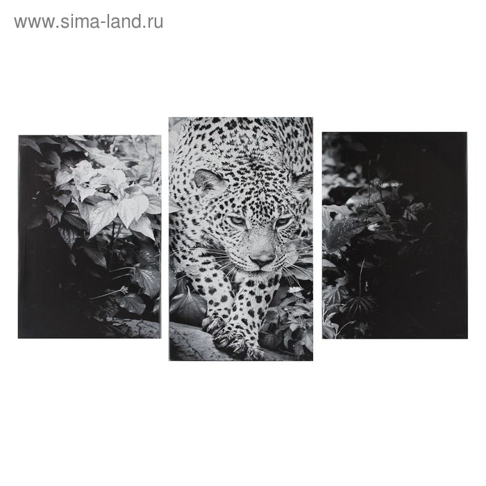 Картина модульная на подрамнике "Черно-белый леопард" 2-30х44,5 1-30х51,5; 55х100 см - Фото 1