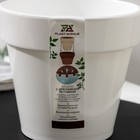 Кашпо для цветов со вставкой Plast-Avenue «Порто», 1 л, пластик, белое - Фото 5