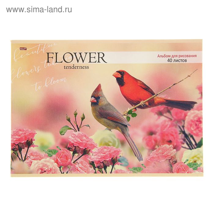 Альбом для рисования А4, 40 листов на скрепке "Птицы и розовые бутоны", обложка офсет 80 г/м2, блок-офсет 100 г/м2 - Фото 1