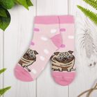 Носки детские "Мопс", 18-20 см, 7-9 лет - Фото 1