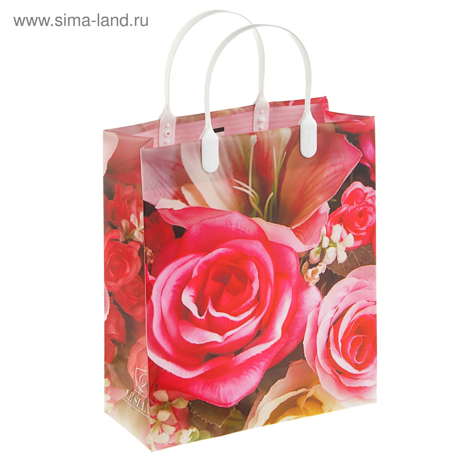 Пакет "Грегори", мягкий пластик, 26 х 23 см, 120 мкм (2297062) - Купить ...