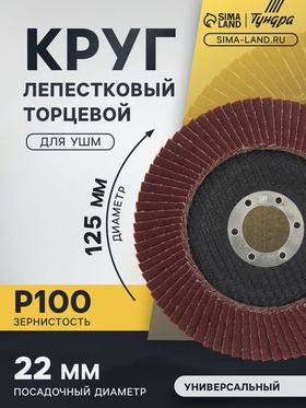 Круг лепестковый торцевой конический ТУНДРА, 125 х 22 мм, Р100