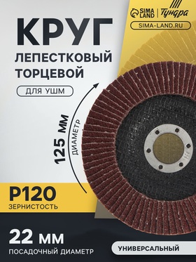 Круг лепестковый торцевой конический ТУНДРА, 125 х 22 мм, Р120