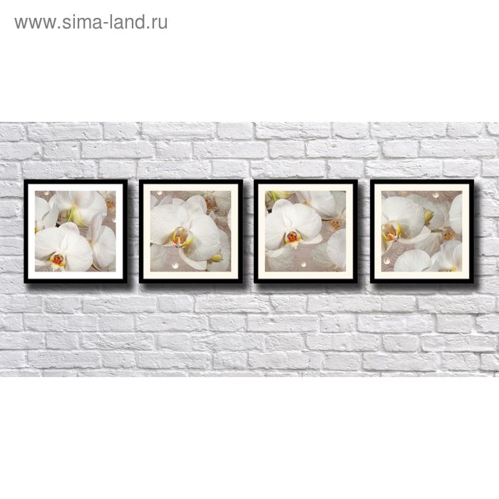 Модульная картина  "Туманные орхидеи (цветы)", 160х40 см - Фото 1