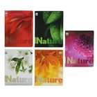 Тетрадь 96 листов клетка "Цветы. Листья", обложка картон хром-эрзац - Фото 1