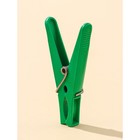 Прищепки бельевые «Пингвин», 8 см, 12 шт., цвет МИКС - Фото 4