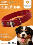 Ошейник, 1.2 см, ОШ 20-26 см, однослойный, неукрашенный, цвет и вид МИКС - Фото 1