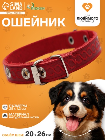 Ошейник, 1.2 см, ОШ 20-26 см, однослойный, неукрашенный, цвет и вид МИКС