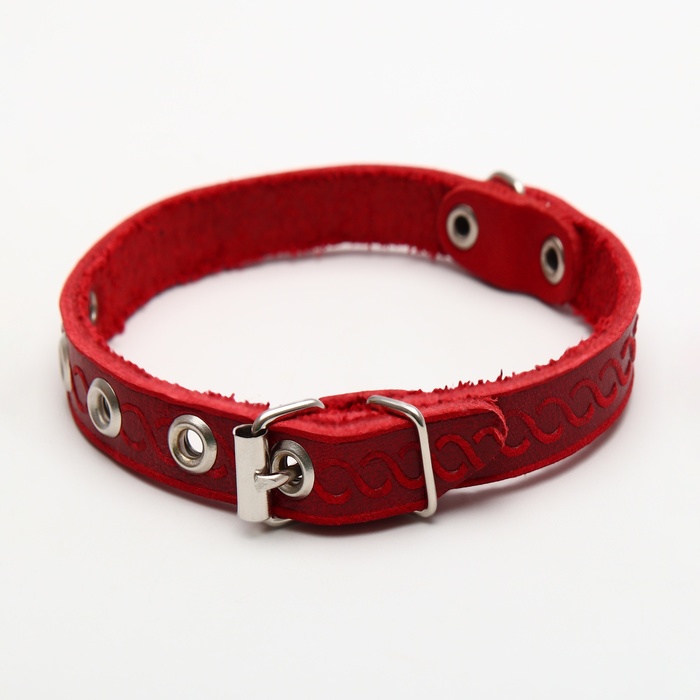 Ошейник кожаный однослойный неукрашенный, 1,2 см, ОШ 20-26 см, микс цветов и видов - Фото 1