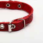 Ошейник кожаный однослойный неукрашенный, 1,2 см, ОШ 20-26 см, микс цветов и видов - Фото 2