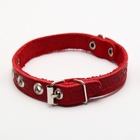 Ошейник, 1.2 см, ОШ 20-26 см, однослойный, неукрашенный, цвет и вид МИКС - Фото 2