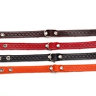 Ошейник, 1.2 см, ОШ 20-26 см, однослойный, неукрашенный, цвет и вид МИКС - Фото 11