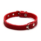 Ошейник кожаный однослойный неукрашенный, 1,2 см, ОШ 20-26 см, микс цветов и видов - Фото 3