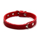 Ошейник, 1.2 см, ОШ 20-26 см, однослойный, неукрашенный, цвет и вид МИКС - Фото 4