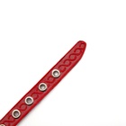 Ошейник кожаный однослойный неукрашенный, 1,2 см, ОШ 20-26 см, микс цветов и видов - Фото 6