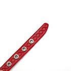 Ошейник, 1.2 см, ОШ 20-26 см, однослойный, неукрашенный, цвет и вид МИКС - Фото 7