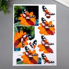 Папертоль "Бабочка оранжевая" 10х12 см - Фото 2