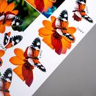 Папертоль "Бабочка оранжевая" 10х12 см - Фото 3
