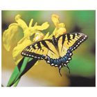 Папертоль "Бабочка желтая" 10х12 см - Фото 1