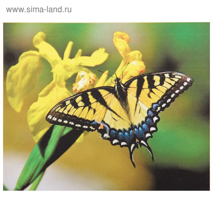 Папертоль "Бабочка желтая" 10х12 см - Фото 1
