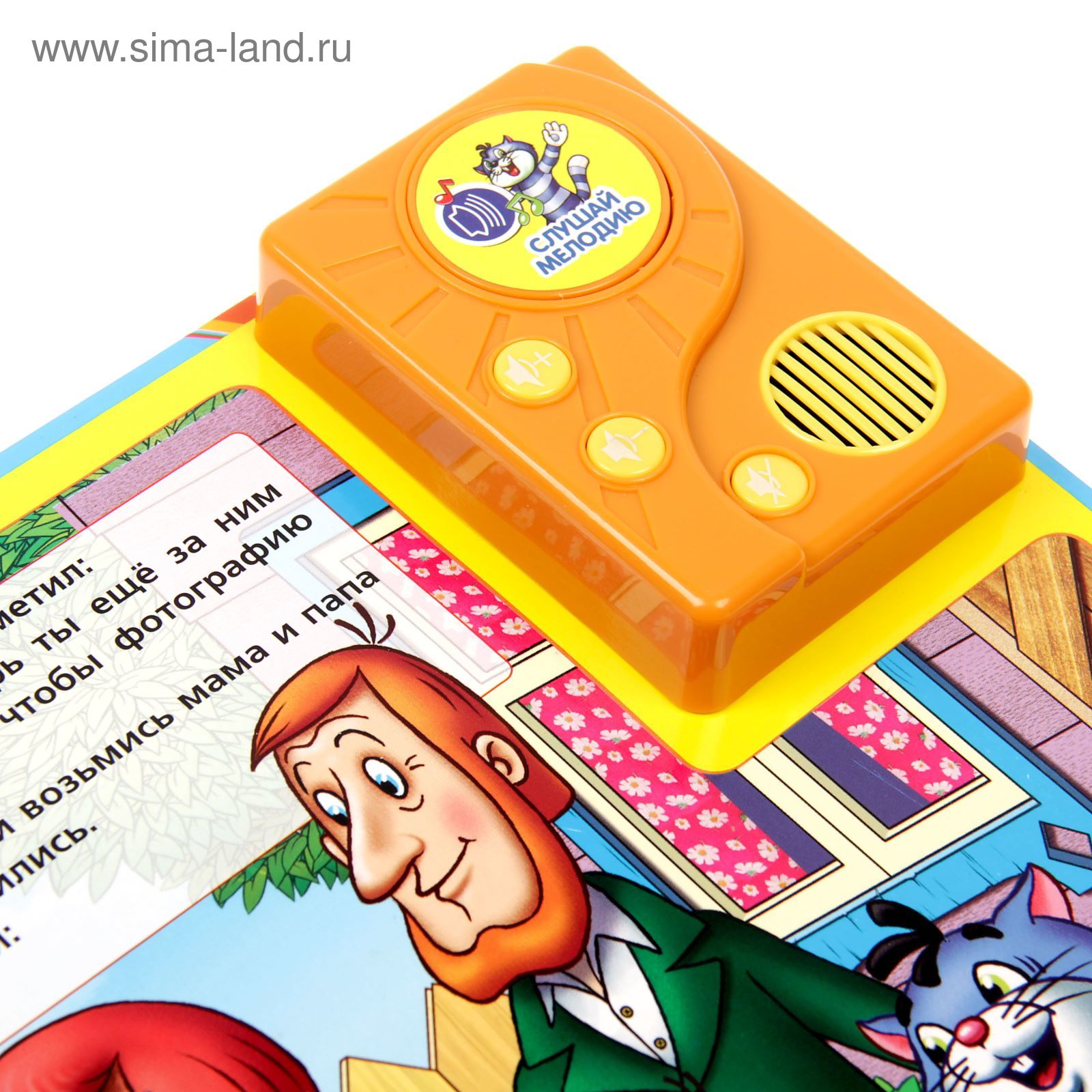 Недостатки проекта говорящая книга