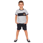 Футболка для мальчика "Формула", рост 134 см (68), цвет серый, принт герб ПДК968805 - Фото 4