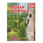 Находилка-определялка с панорамными иллюстрациями. Лесная прогулка. Томас Мюллер 5+ - Фото 1