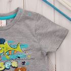 Комплект для мальчика (футболка, шорты), рост 80 см, цвет серый меланж CSB 9643_М - Фото 4