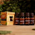 Набор эфирных масел, 4 шт. «Лёгкого пара!» 15 мл - Фото 1