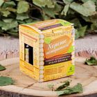 Набор эфирных масел, 4 шт. «Хорошо попариться» 15 мл - Фото 3