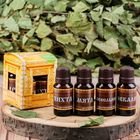 Набор эфирных масел, 4 шт. «Хозяину в русскую баньку» 15 мл - Фото 1