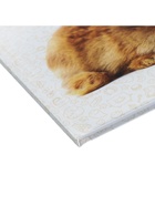 Дневник школьный для 1-11 классов, «Заяц», твёрдая обложка 7БЦ, глянцевая ламинация, 40 листов - Фото 5