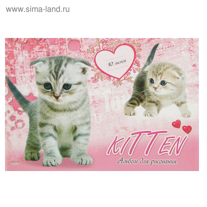 Альбом для рисования А4, 40 листов на скрепке "Два малёньких котёнка", обложка картон хромэрзац, блок офсет 100г/м2 - Фото 1
