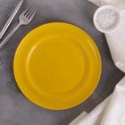 Набор тарелок 20 см, 3 шт, цвет МИКС - Фото 5