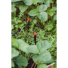 Форсунка - ороситель разбрызгивающая для капельного полива, d=5 мм, пластик, с пикой, Greengo - Фото 6