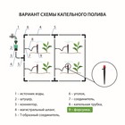Форсунка - ороситель разбрызгивающая для капельного полива, d=5 мм, пластик, с пикой, Greengo - Фото 5
