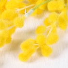 Цветы искусственные "Мимоза" 40 см, жёлтый - Фото 2