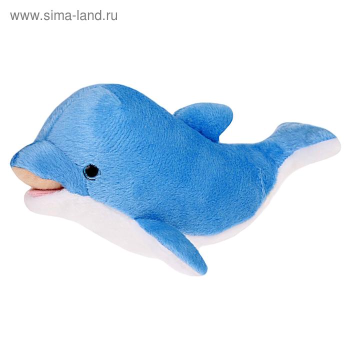 Мягкая игрушка «Дельфин Скайп», 30 см - Фото 1